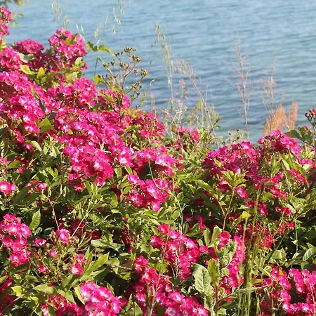 Sea View Relax סבטי ולאס